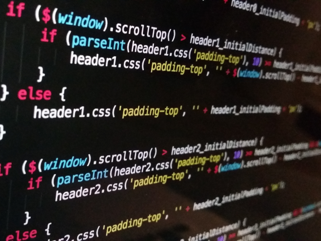 Importance of Coding Skills in Website Design and Customization
